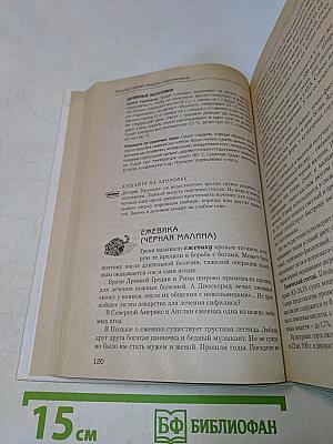 Фрукты и овощи. Рецепты оздоровления