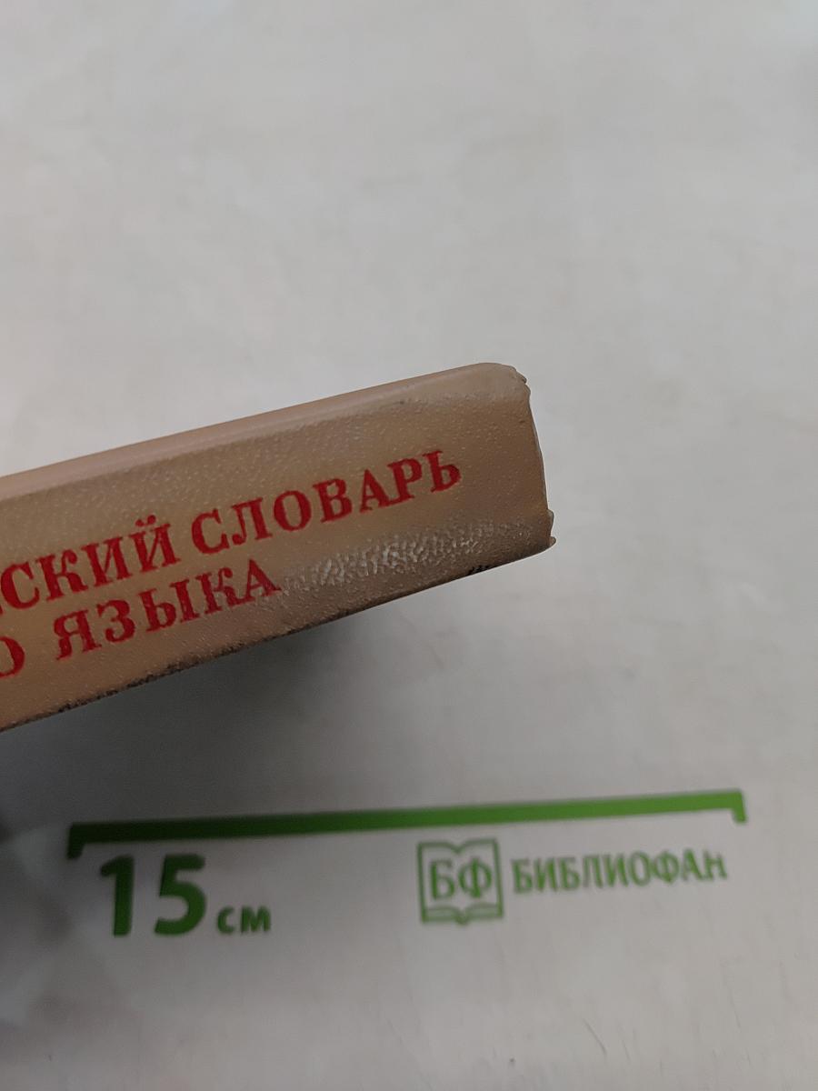 Фразеологический словарь русского языка