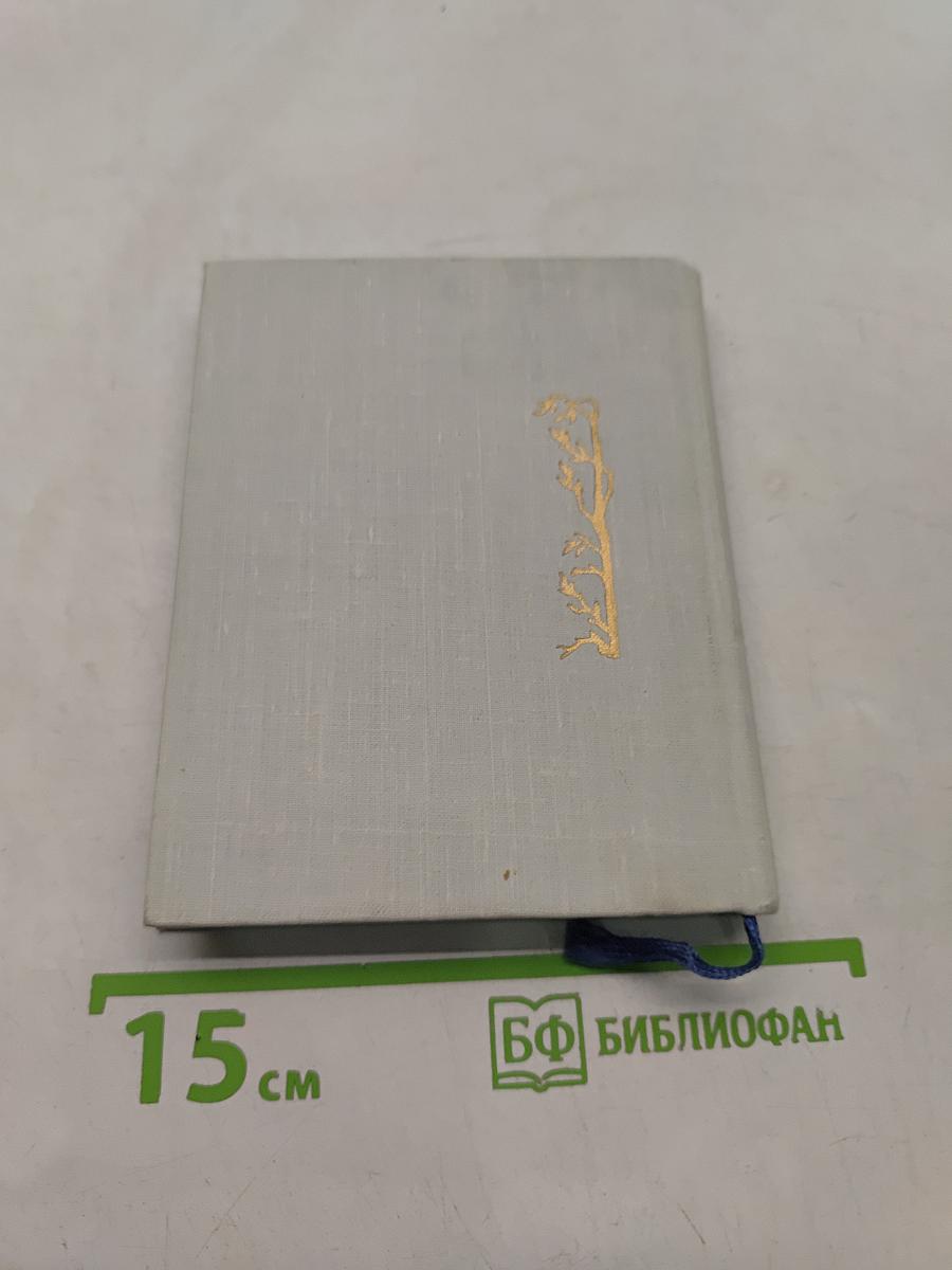 Лесная песня