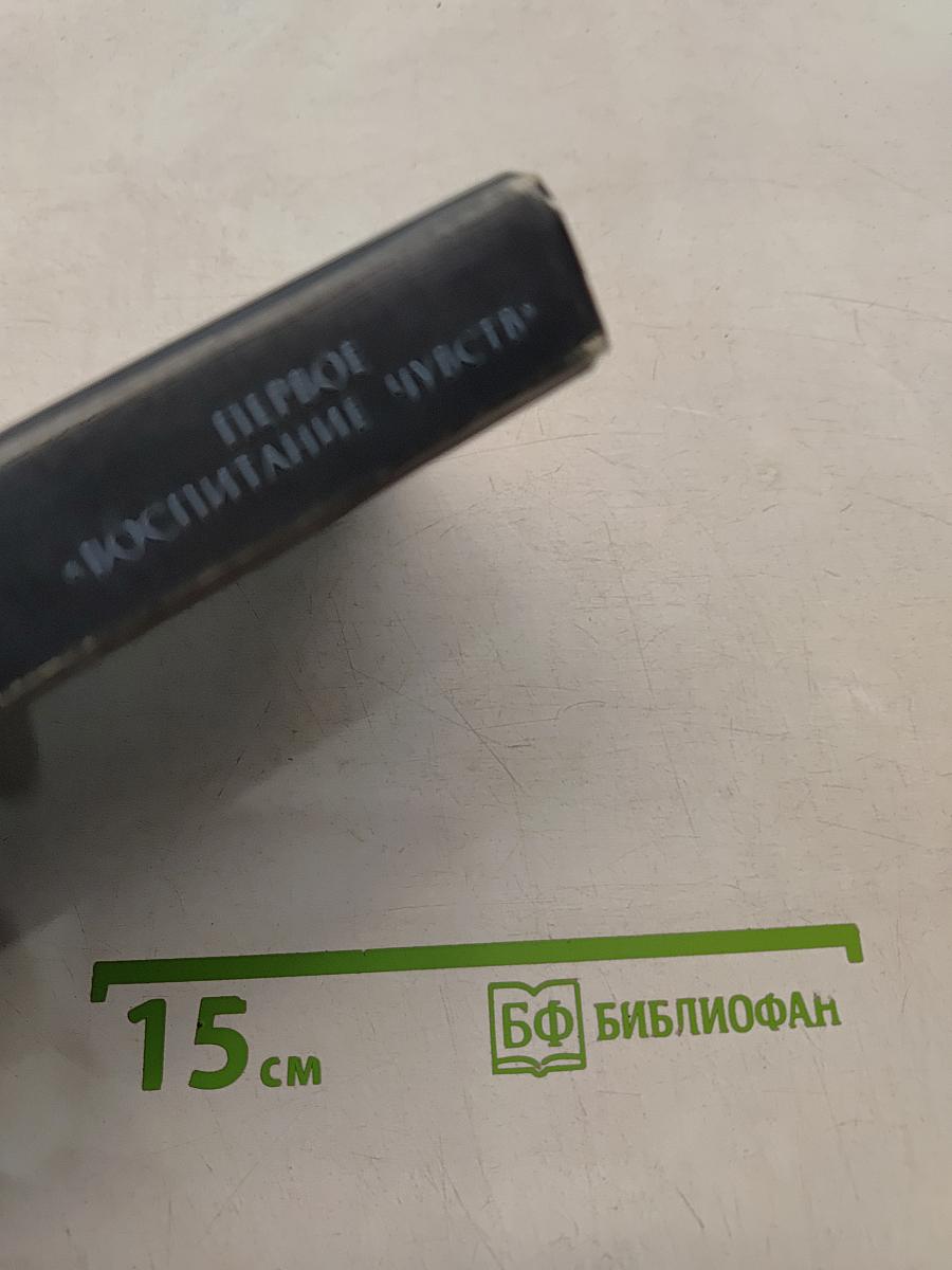 Первое воспитание чувств