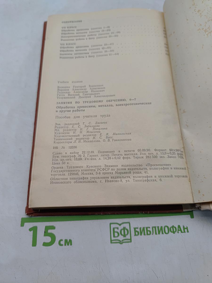 Занятия по трудовому обучению. 6-7. Обработка древесины, металла, электротехнические и другие работы