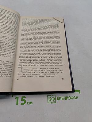 Повесть о настоящем человеке