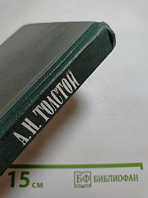 Чудаки. Хромой барин. Егор Абозов
