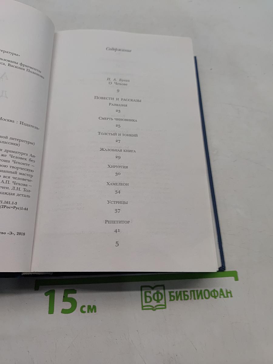 Дама с собачкой