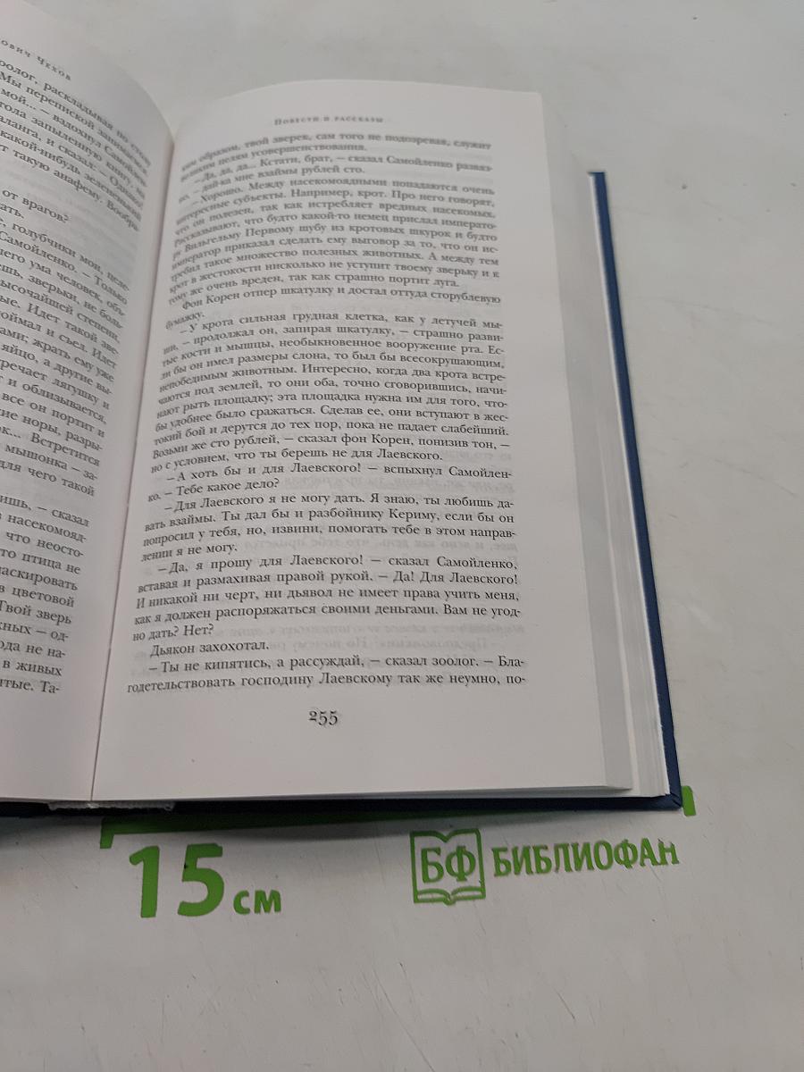 Дама с собачкой