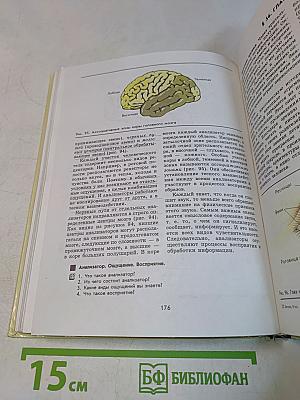 Биология. Человек. Учебник для 9 кл. общеобразоват. учеб. заведений