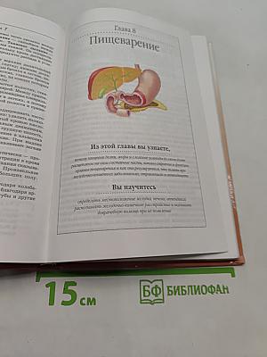 Биология. Человек. Учебник для 8 класса общеобразовательных учреждений