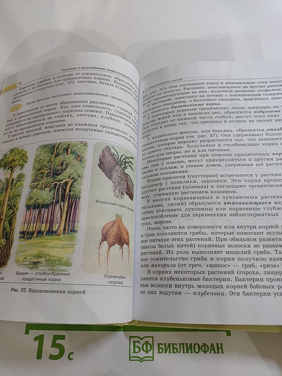Биология. Живые организмы. Растения. 5 класс