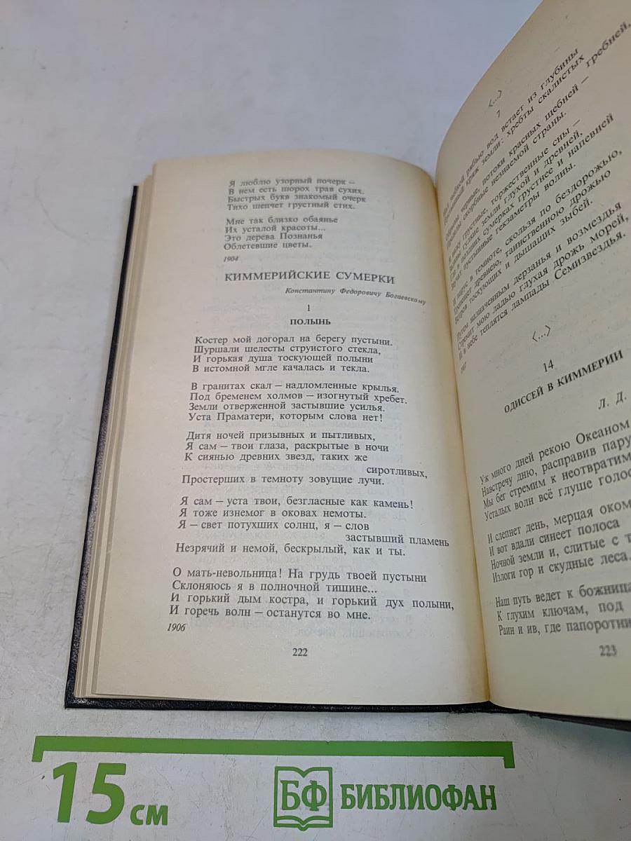 Поэтические течения в русской литературе конца XIX – начала XX века. Литературные манифесты и художественная практика. Хрестоматия