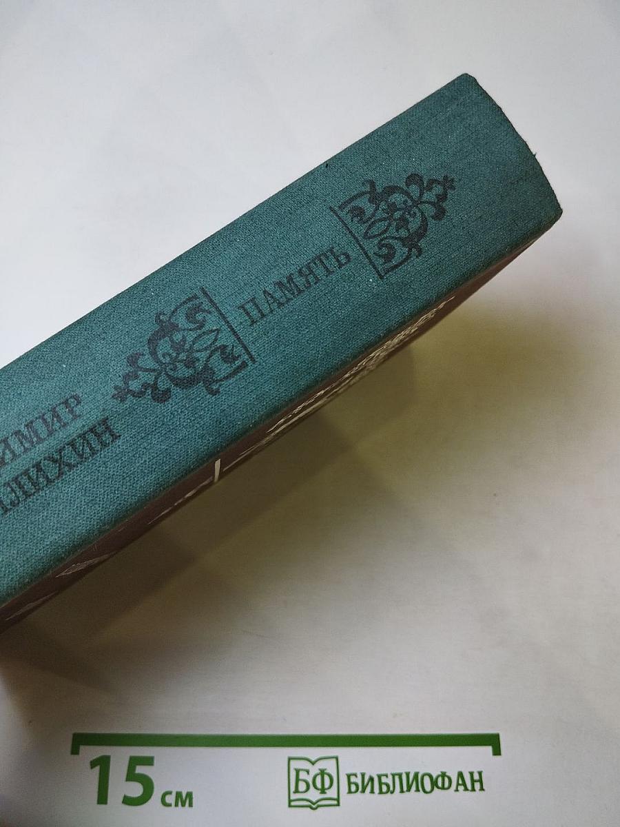 Память. Роман-эссе. Книга первая