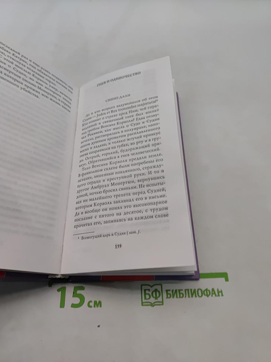 Сильви Жермен. Дни гнева