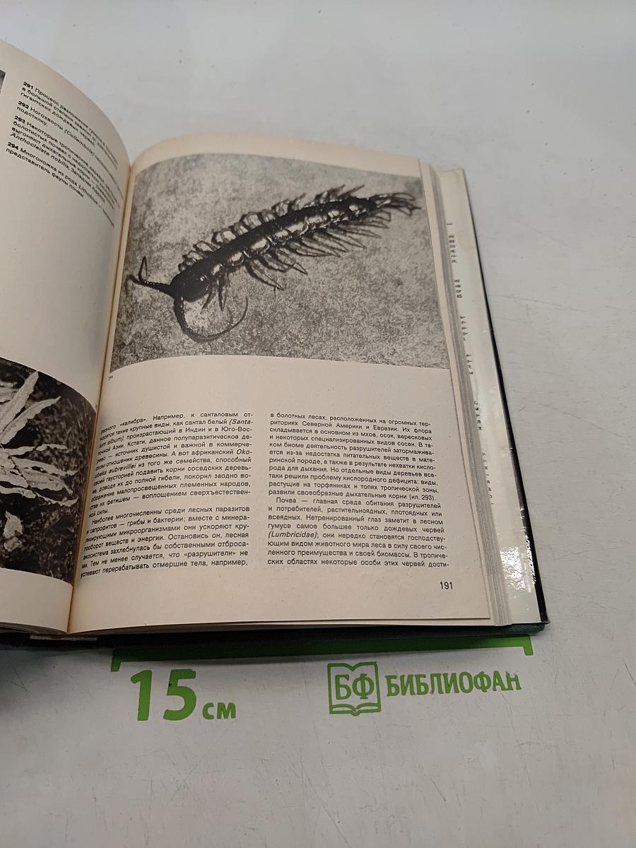 Иллюстрированная энциклопедия лесов
