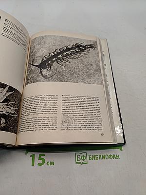 Иллюстрированная энциклопедия лесов