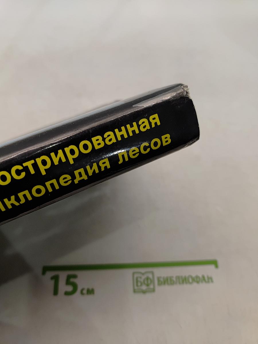 Иллюстрированная энциклопедия лесов