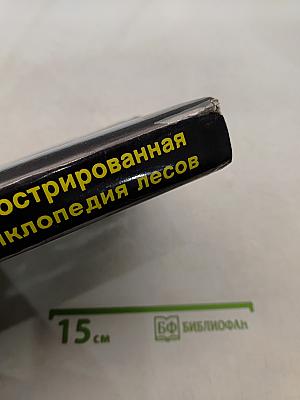 Иллюстрированная энциклопедия лесов