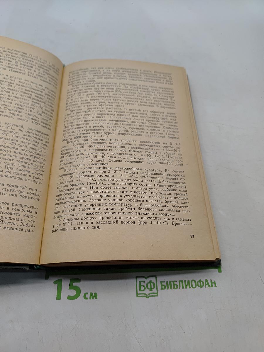 Овощеводство открытого грунта