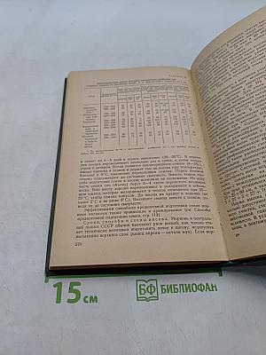 Овощеводство открытого грунта