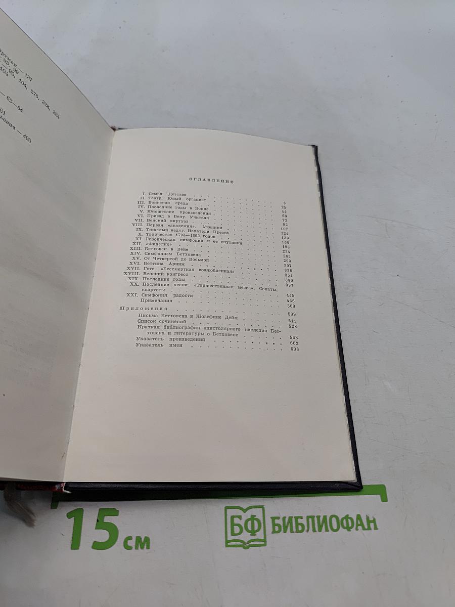 Бетховен: очерк жизни и творчества