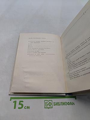 Портрет с дождем. Пьесы