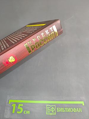 Проект Россия. Большая идея. Четвертая книга
