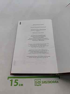 Великая книга пророков. Видевшие сквозь время. Книга 1