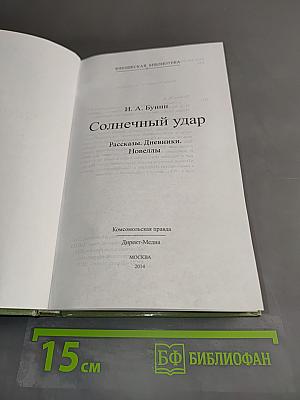 Солнечный удар