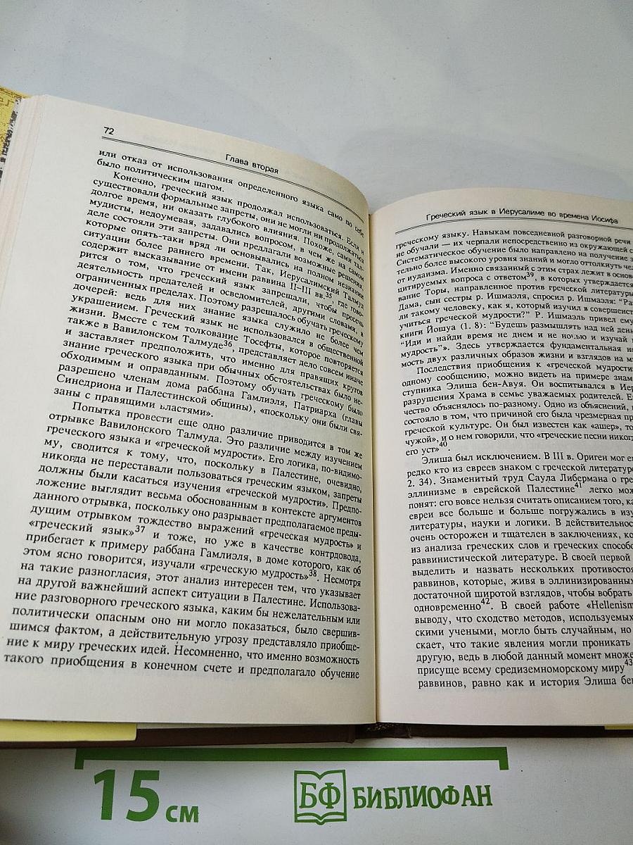 Иосиф Флавий. Историк и общество