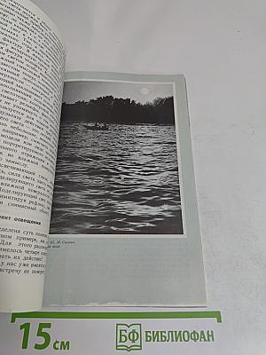 Основы композиции в фотографии