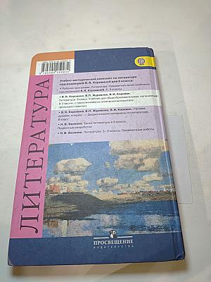 Литература. 8 класс. Часть 2