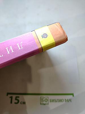 Литература. 8 класс. Часть 2