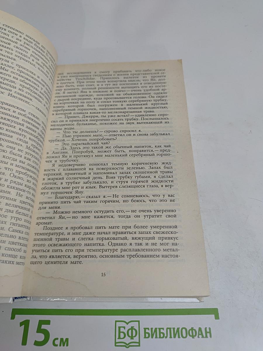Под пологом пьяного леса