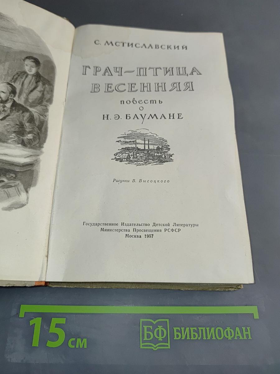 Грач – птица весенняя