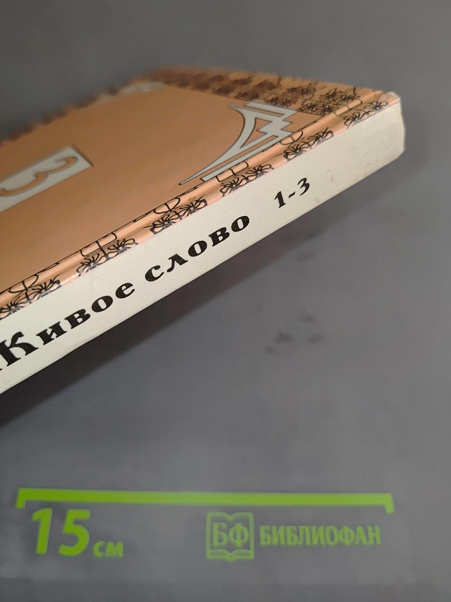 Живое слово. Книга 2. Учебник для 3 класса трехлетней начальной школы