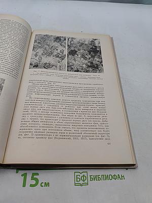 Очерки физико-химической петрологии. Том II