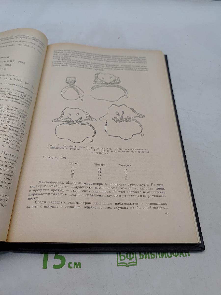 Стратиграфия, условия осадконакопления и фауна ордовикских и нижнедевонских отложений Новой Земли, Вайгача и Пай-Хоя