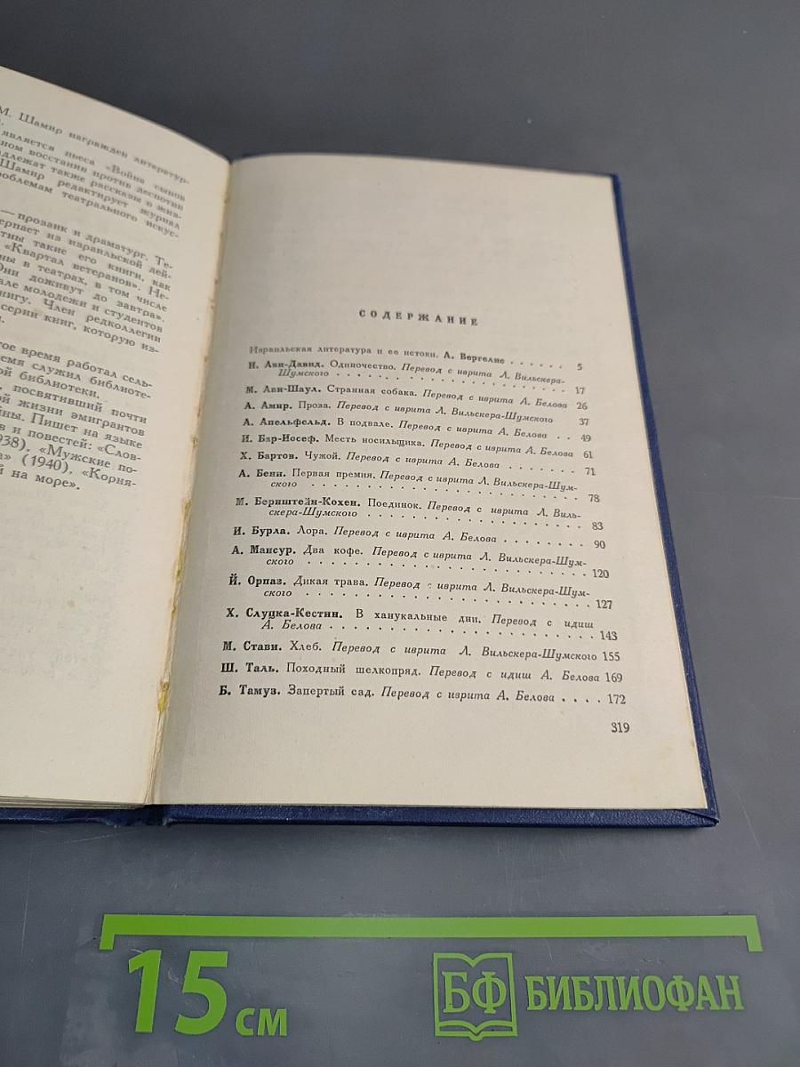 Рассказы израильских писателей