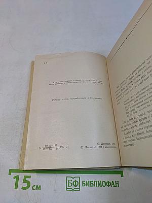 Чайковский в Петербурге