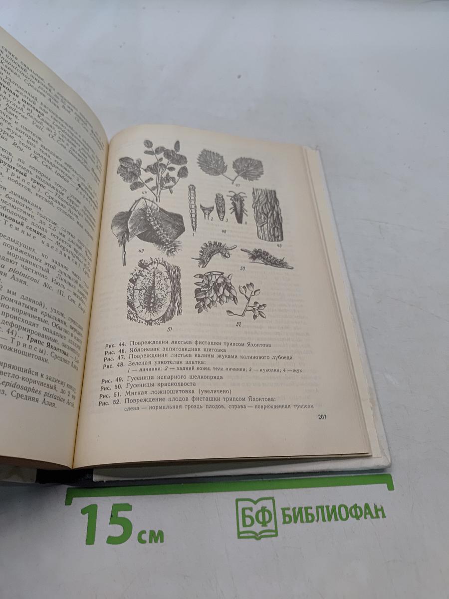 Определитель повреждений плодовых деревьев и кустарников