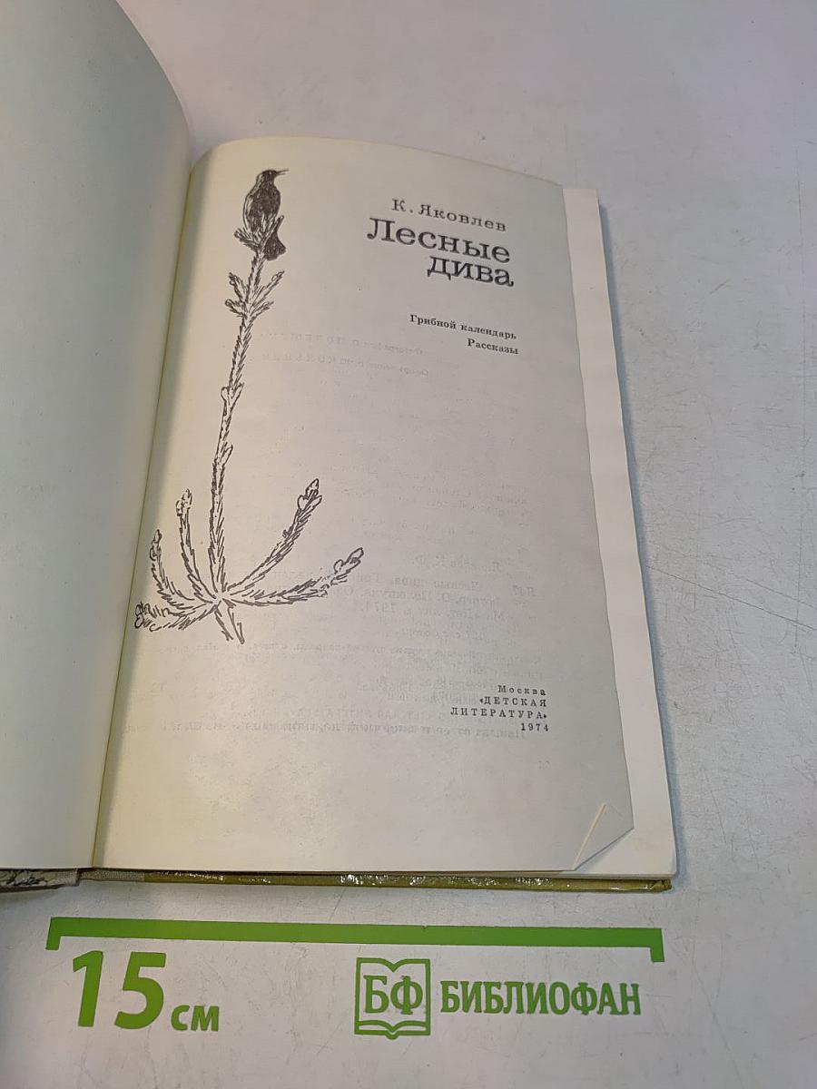 Лесные дива