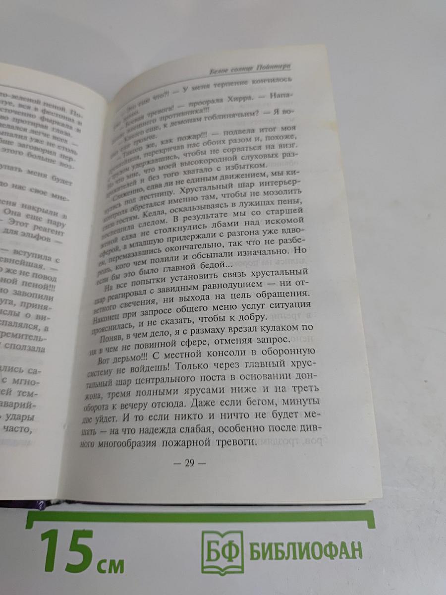Белое солнце Пойнтера