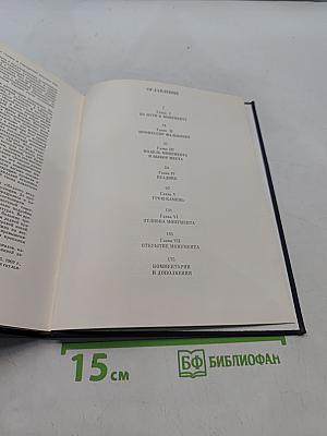 Медный всадник