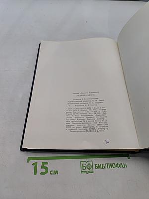 Медный всадник