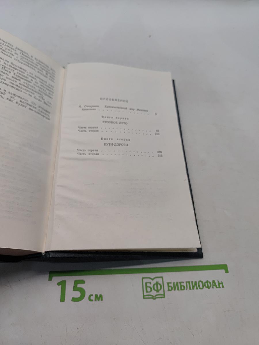 Солдаты. Роман. Том первый