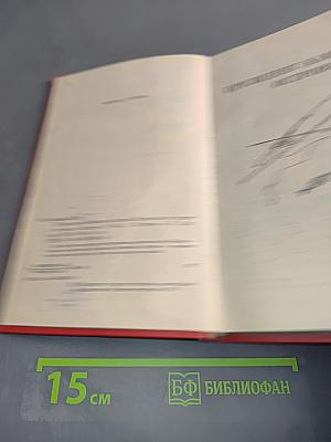 Президент каменного острова. Президент не уходит в отставку