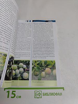 Плодовые и ягодные культуры. Путеводитель