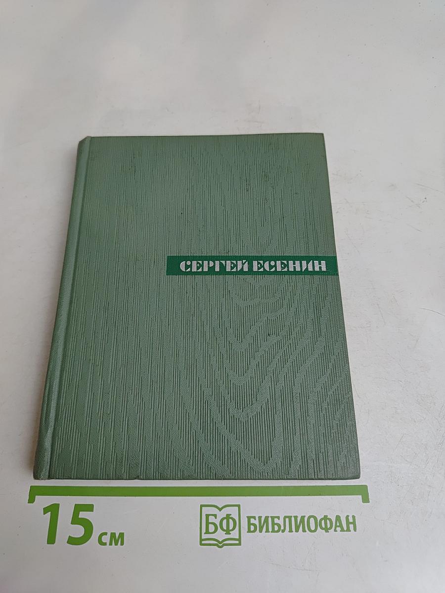 Собрание сочинений. Том четвертый. Проза. Статьи и заметки