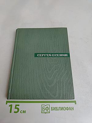 Собрание сочинений. Том четвертый. Проза. Статьи и заметки