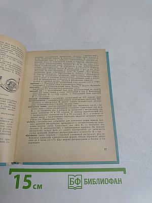 Словарь музыкальных терминов