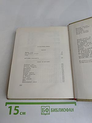 Собрание сочинений. Том 8. Пьесы, рассказы, очерки, статьи