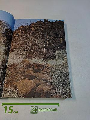 Сафари под Килиманджаро